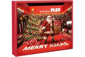 Flex Xmas 2025 (Advent Calendar, with 4 V Cordless Screwdriver and Extended Bit / Drill Box, Calendar) 534227