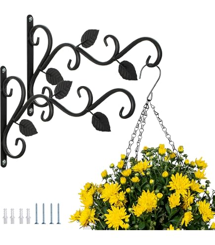 POTWPOT Set Di 2 Ganci Da Parete In Ferro Battuto Nero, Portata 10 Kg, Per Appendere Fioriere, Lanterne, Mangiatoie Uccelli, 152x102 Mm