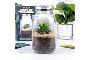 GR GIFT REPUBLIC Gift Republic - Solarbetriebenes Terrarium