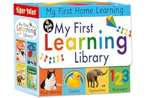 My First Learning Library 4-Book Boxed Set: Includes First Words, Colors, Opposites, and Numbers