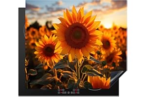 KitchenYeah© Protection Pour Plaque Induction 60x52 cm Plaque de Deco Cuisine Protégé Cache De Cuisson Vitroceramique Tournesol - Coucher de soleil - Fleurs - Nature - Jaune
