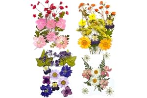 DFsucces 4 Packs About 60 Pcs,Pressed Dried Flowers,Real Dried Pressed Flowers,Pressed Flowers for Resin,Mixed Multiple Natural Flowers Leaves,for Crafts Making Floral Decors Scrapbooking DIY