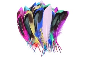 Acooruiteng Federn Zum Basteln Flauschig und Weich Feder Feather Bastelfedern Bunte Federn für DIY Ohrring Hochzeit Traumfänger Kopfschmucksfedern Schulhandwerk 50 Stück