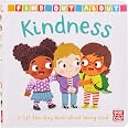 Feelings: A lift-the-flap board book of emotions: Amazon.co.uk: Pat-a ...