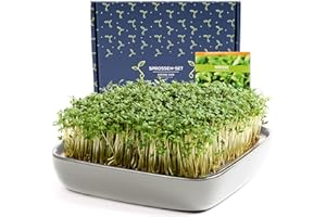 Otaro Premium Cress Propagation Trays Including Cress Seeds (White Grey) | Get Started | Elegant Cress Sieve, Germination Bowls for Sprouts, Germination Bowl | Perfect as a Thank You Gifts (Premium