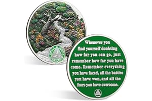 CHURYUML 3 Month Sobriety Coin 90 Day Sobriety Chip Three Month AA Coins Recovery Medallions Sobriety Gifts for Men Women Sober Token Alcoholics Anonymous Gift with Capsule, Display & Card