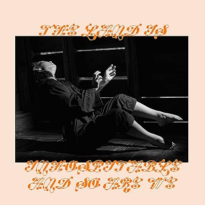 Be the Cowboy: Mitski: Amazon.es: CD y vinilos}
