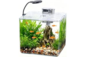 BEGONDIS 13L Starter Fish Tank Kit, 25 * 25 * 22CM Mini Plastic Aquarium with LED Light & USB Filter, DIY Aquascape for Small Betta Fish