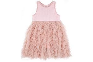 Miipat Bébé Filles Robe en Tulle été sans Manches Princesse Robes avec Broderie à Volants Fleur