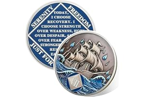 VITALWAY Braving The Storm 7 Year Sober Coin, Nautical NA Coin, Addiction Recovery Seven Year Sober Chip, Celebrating Recovery Anniversary Token, Narcotics Anonymous Sobriety Gifts for Men Women