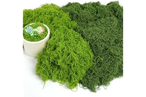 OFFCUP 100g Kunstmoos zum Dekorieren Künstliches Moos Deko Moos zum Basteln Kunstmoos zum Basteln Kunst Moos Fake Dekomoos Deko Ostern für Wand Krippe Aquarium Modellbau (Dunkelgrün + Hellgrün)