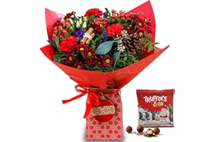 All Occasions Christmas Flower Bouquet, Red & Purple Fresh Flowers, Perfect for Birthdays, Anniversaries & Christmas Gifts
