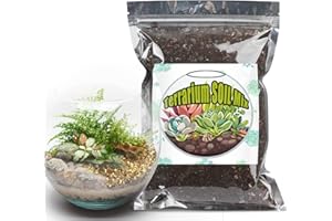 GOTVUGE Mélange de plantes pour terrarium conçu sur mesure pour terrariums, parfait pour les jardins miniatures vivants (10 l)