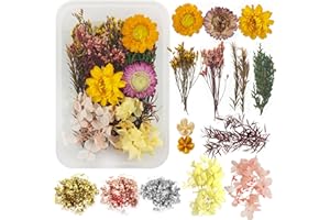 OURDORT Flores Secas Naturales, Flores Prensadas Secas,Flores Secas para Resina, Flor Prensada Mezclada, para ÁLbumes De Recortes, Tarjetas De FelicitacióN, ÁLbumes De Fotos y Manualidades (D)