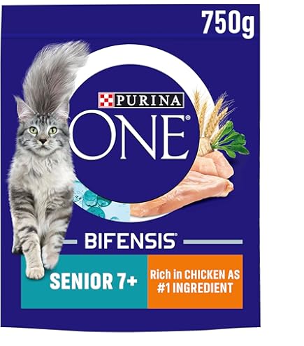 Senior Purina One Indoor Advantage Walmart Dry Cat Food Indoor