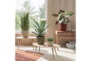 Artevasi Miami Wavy Flower Pot, 16 cm, White Green, Elegant Planter with Wave Structure, Matte Finish, Ideal as a Plant Pot for Modern Spaces