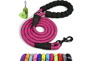 Taglory Guinzaglio per Cani, Strong Dog guinzaglio con Comoda Impugnatura Imbottita e Altamente Riflettente Fili per Cani di Taglia Media e Grande, 120cm x 1,0cm, Rosa Caldo