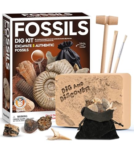 Kit De Fouille Pirate Jumbo – 12 Trésors (Pierres Précieuses, Pièces D’Or) Avec Carte – Cadeau Enfant 6+