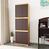 Nilkamal Freedom Mini Large (FML) Plastic Storage Cabinet (Weathered Brown & Biscuit)