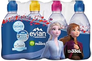 Evian Eau Minérale Naturelle Bouteille 12 x 33 cl