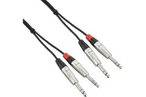 Hosa HSS-020X2 Câble de connexion stéréo Prise double REAN 1/4" TRS vers prise identique 6 m