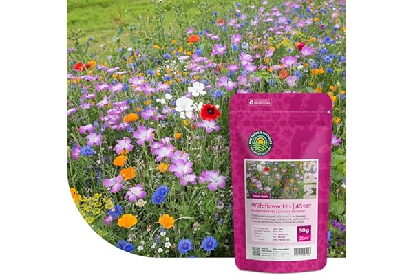 MRS Mélange de fleurs sauvages annuelles et vivaces - 250 g pour 125 m² - 62 variétés de fleurs multicolores riches en nectar - Attire abeilles et papillons