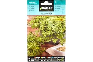 Graines aromatiques de Batlle - Origan commun (0,5g)