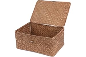 FEILANDUO FEIALNDUO - Canastas de mimbre con tapa, cestas de almacenamiento rectangulares tejidas a mano para estantes, organizador de escritorio y hogar (café, grande)