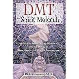 DMT: The Spirit Molecule: A Doctor's Revolutionary Research into the Biology of Near-Death and Mystical Experiences