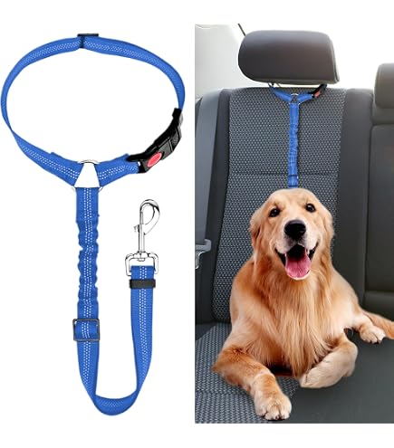 Lot De 2 Ceintures De Sécurité Pour Chien – Harnais Réglable 53-74cm, Atténuation Des Chocs, Pour Voiture Et Promenade