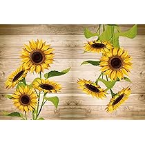 Tappeto Decorativo Tappetino Cucina Antiscivolo Con Girasole E Zucca - 52x77cm Assorbente E Lavabile - Per Pavimenti Interni Tappeto Assorbente