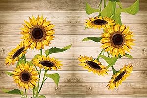 TAPPETIK Tappeto cucina antiscivolo, stampa digitale, ampia gamma di colori e disegni MADE IN ITALY varie misure (52 x 280 cm, Girasoli 2)