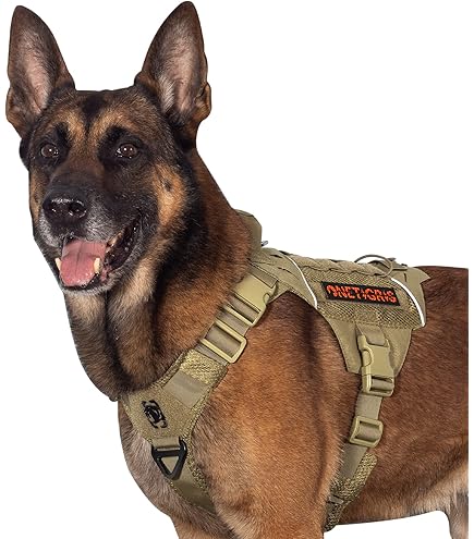 Imbracatura JK9 Mantrailing Essential Taglia S - Neon | Per Cani Da Ricerca E Lavoro - Foto 5