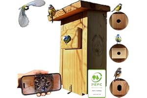NATURAL HONESTY Hochwertiger Nistkasten inklusive Kamera | Live Stream | PEFC® zertifiziertem Massivholz | Brutkasten | Kamera Vogelhaus mit 3m Stromkabel | Geschenkidee Garten
