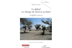 Le djihad en Afrique du Nord et au Sahel: D'AQMI à Daech