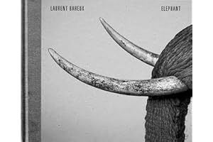 Eléphant