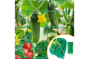 ‎VTOCC VTOCC Ranknetz, 2m x 5m Ranknetz für Gurken & Kletterpflanzen, Gurkennetz Gartennetz mit 10cm Maschnweite, Pflanzennetz für Tomaten mit 50 pcs Pflanzenbindern für Garten und Gewächshaus