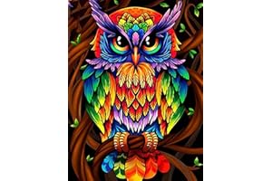 OWN4B Cross Stitch Kits Stamped, Colorful Owl Printed Pattern 11CT 14.2x18.1 inch DIY Embroidery Kit (Owl)