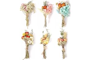 MARFOREVER Trockenblumenstrauß Klein, 6 Bündel Trockenblumen Dried Bouquet Mini Getrocknete Blumen Trockenblumen Klein für Bilderrahmen DIY Heim-Party und Hochzeitsdekoration (Mehrfarbig)