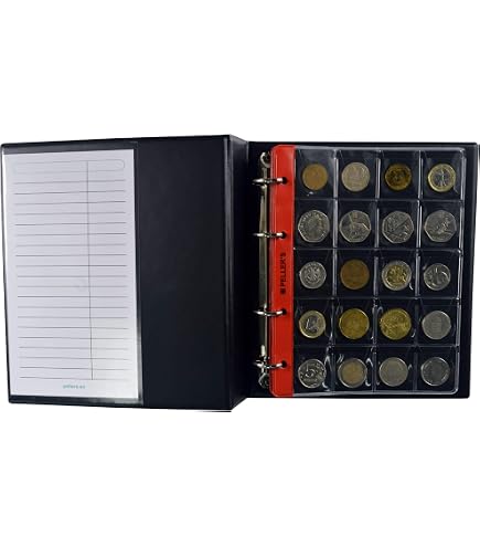 Album Peller's Pour 120 Pièces De Monnaie - Classeur Format S Avec Feuilles 12 Poches 35x35mm | Pour Euros Et Collections