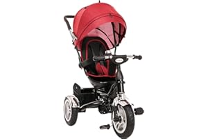 ZIZITO Troy Dreirad mit Schubstange, ab 6 Monaten bis 25 kg, Bequemer Sitz, 360° Drehbar, viel Zubehör