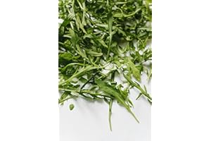 ROOT SOURCE Rocket Salad Plug Plants Grow Your Own Salads (6)
