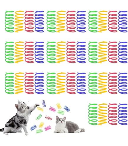 40 Stck Katzenzubehr 40 Stck Katzenspielzeug Spirale - Farbige Feder  Spielzeug BPA-frei Interaktiv Fr Katzen Ktzchen