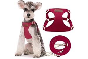 Puppytie Pettorina per Cani di Taglia Piccola e Media - Guinzaglio per Cani Multifunzione, Leggera, Morbida, Regolabile, Senza Soffocamento, a Prova di Fuga per Animali Domestici - Rosso, S, 4-8 kg