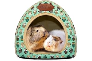RANYPET - Letto per porcellini d'India, per criceti, grande, per cavia, furetti, cincillà, drago barbuto, criceto, accessori per criceti, colore: verde