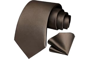 HISDERN Cravatta Uomo Elegante Extra Lungo Cravatta e Fazzoletto Set Cravatte e Pochette Seta per Matrimonio Festa 160 cm