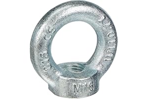 Chapuis, Anneau de levage femelle, Acier C15, M16, Charge de travail indicative 700 kg, Anneau Femelle utilisé pour le levage, Charge de travail importante, Utilisation professionnelle