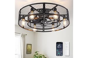 Depuley Ventilateur de plafond avec cage et éclairage: ventilateur de plafond noir de 26 pouces avec commande APP pour chambre à coucher - Ventilateur de cuisine style fermier avec éclairage