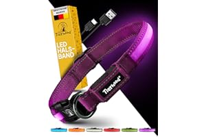 Tierhood Leuchthalsband Hund - Leuchthalsband für kleine und große Hunde - LED Hundehalsband Aufladbar - Langlebig, Wetterfest & Komfortabel - Ideal für Nachtspaziergänge - Lila, Größe M