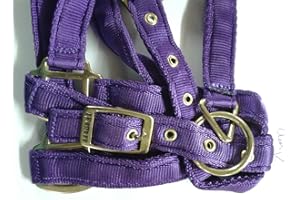 IV Horse Premium Soft Web Headcollar (Cob, Purple)